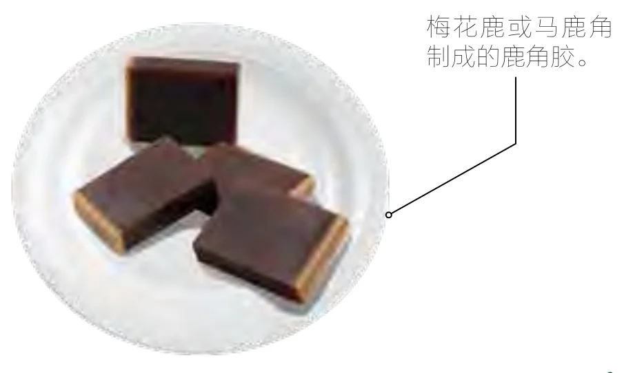 白胶