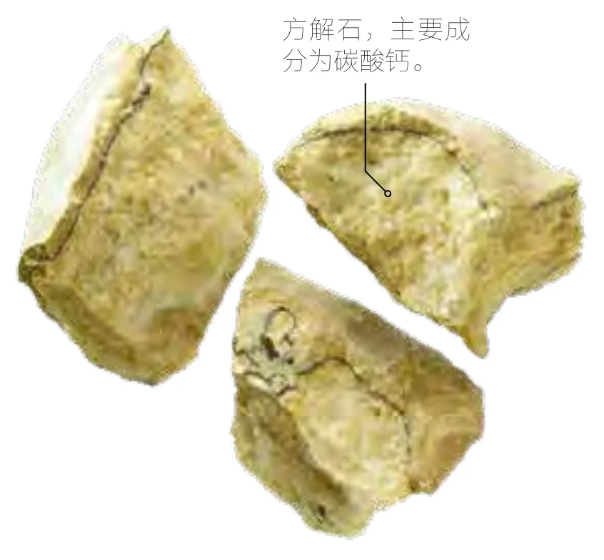 石钟乳