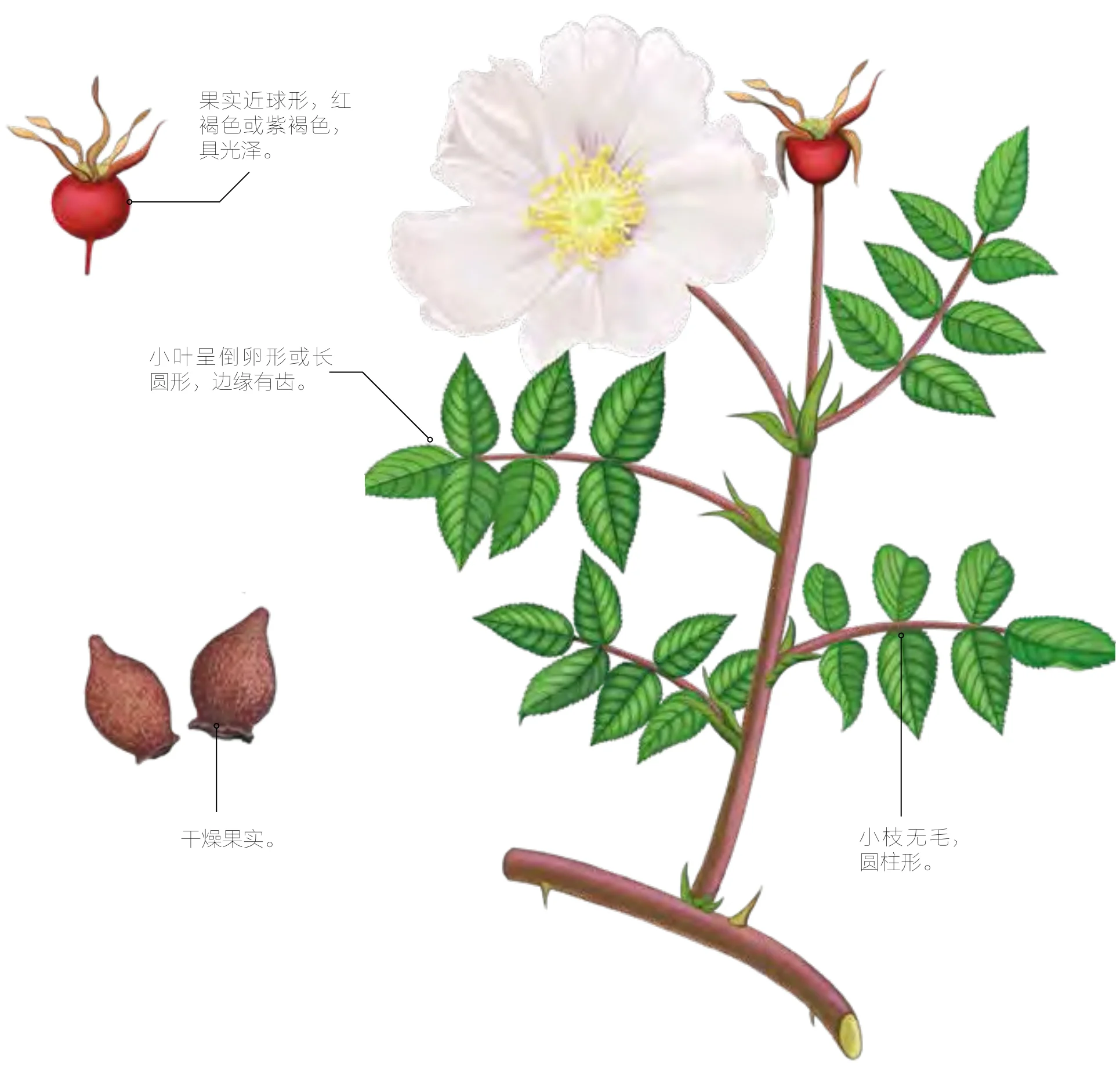 营实
