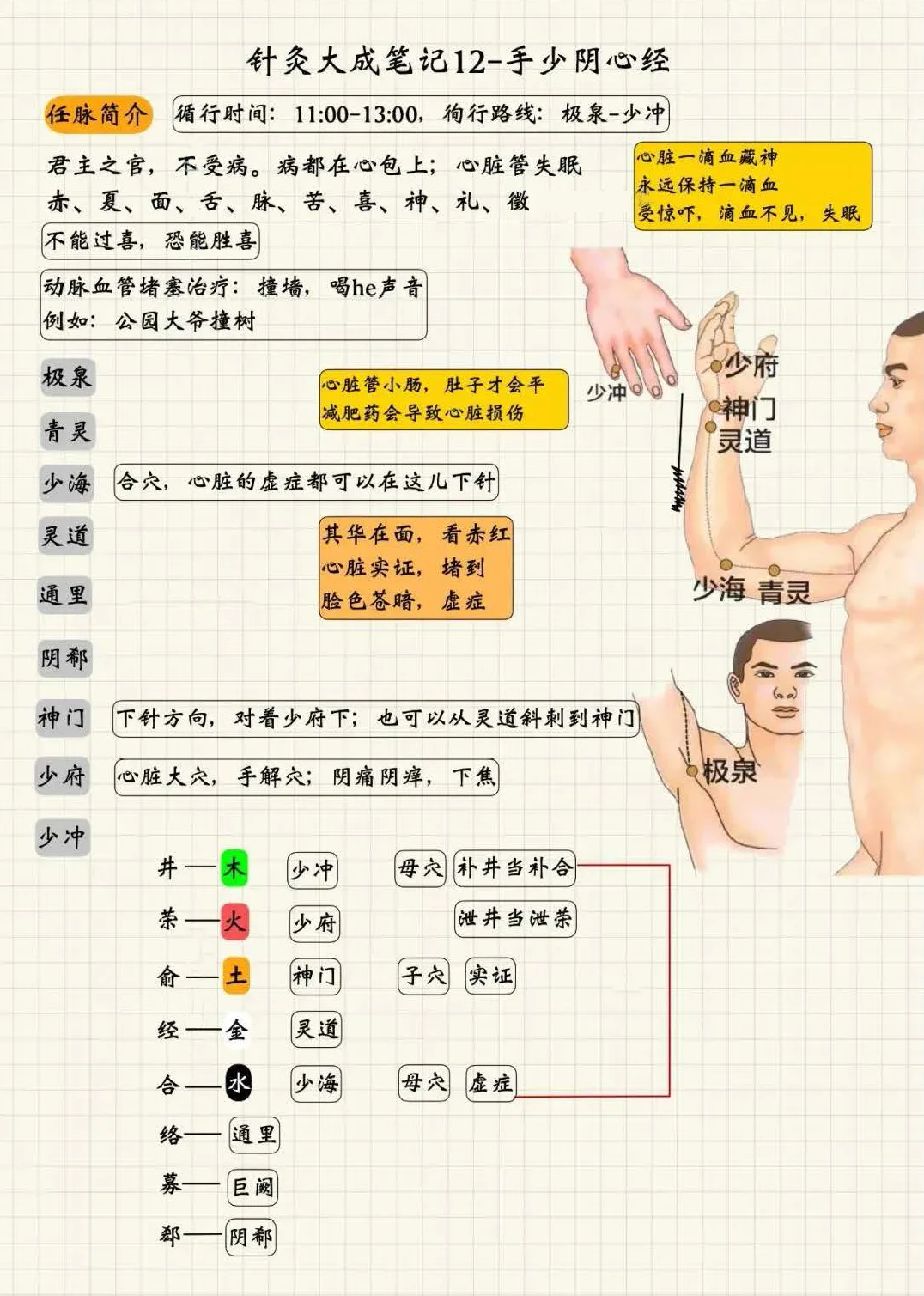 手少阴心经