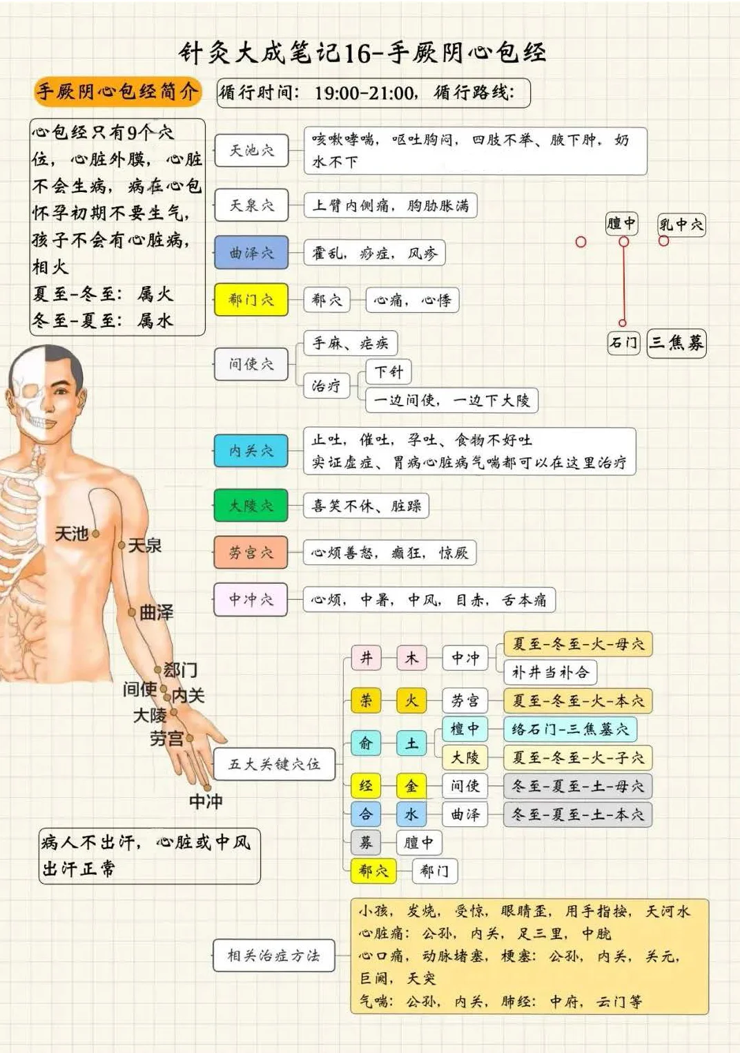 手厥阴心包经