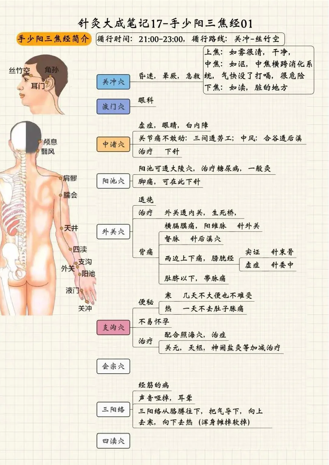 手少阳三焦经1