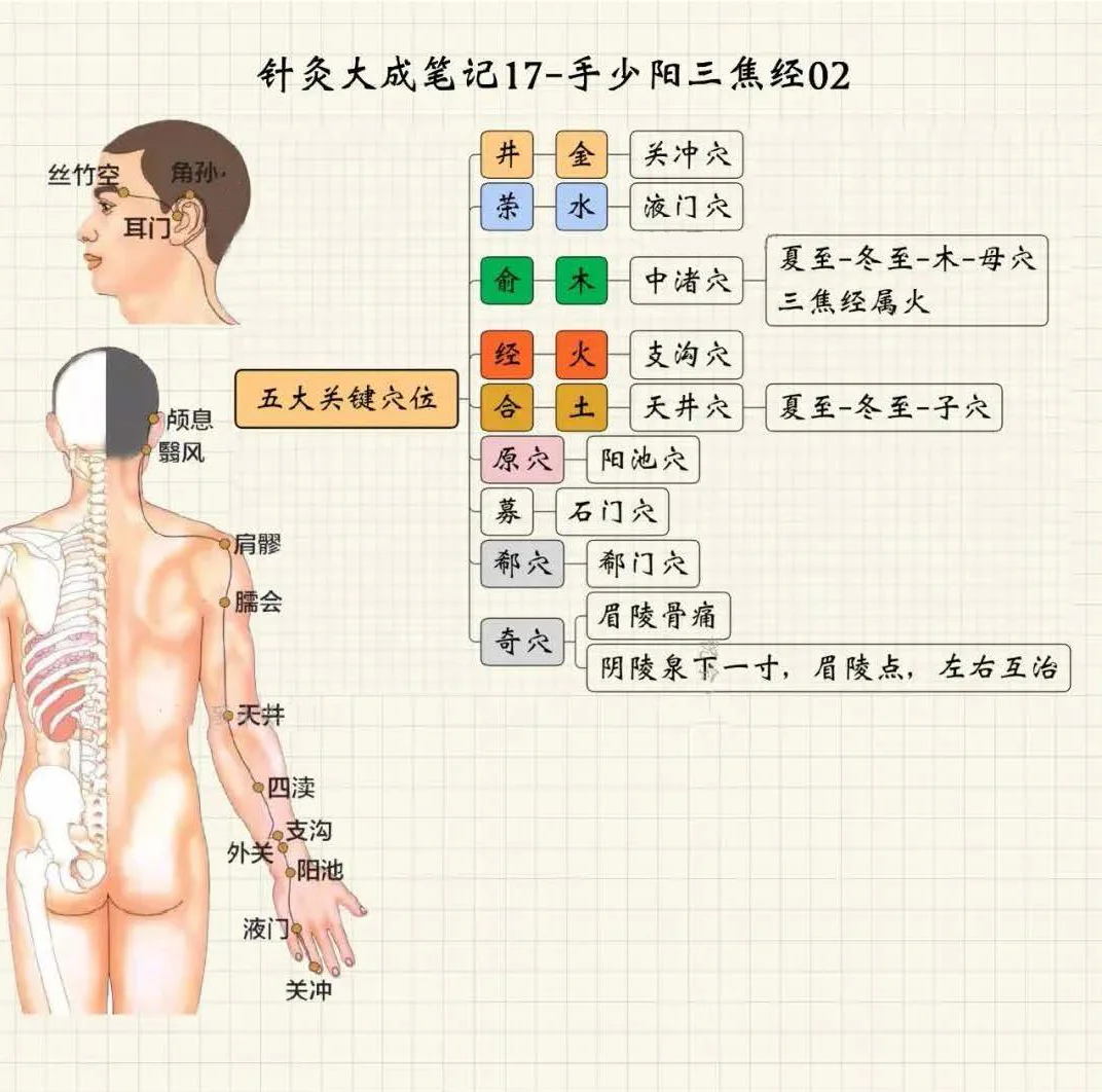 手少阳三焦经2