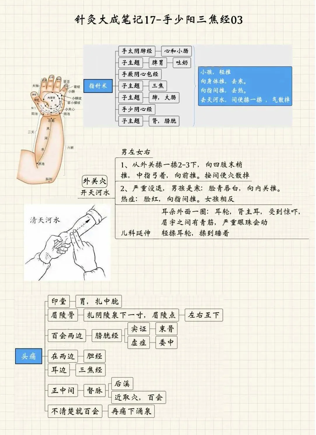 手少阳三焦经3
