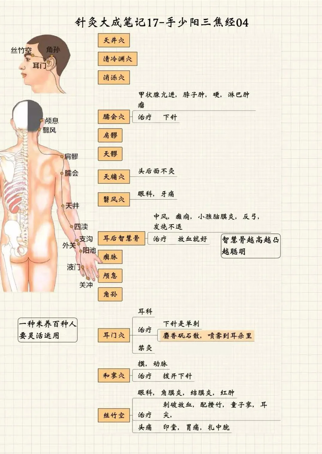 手少阳三焦经4