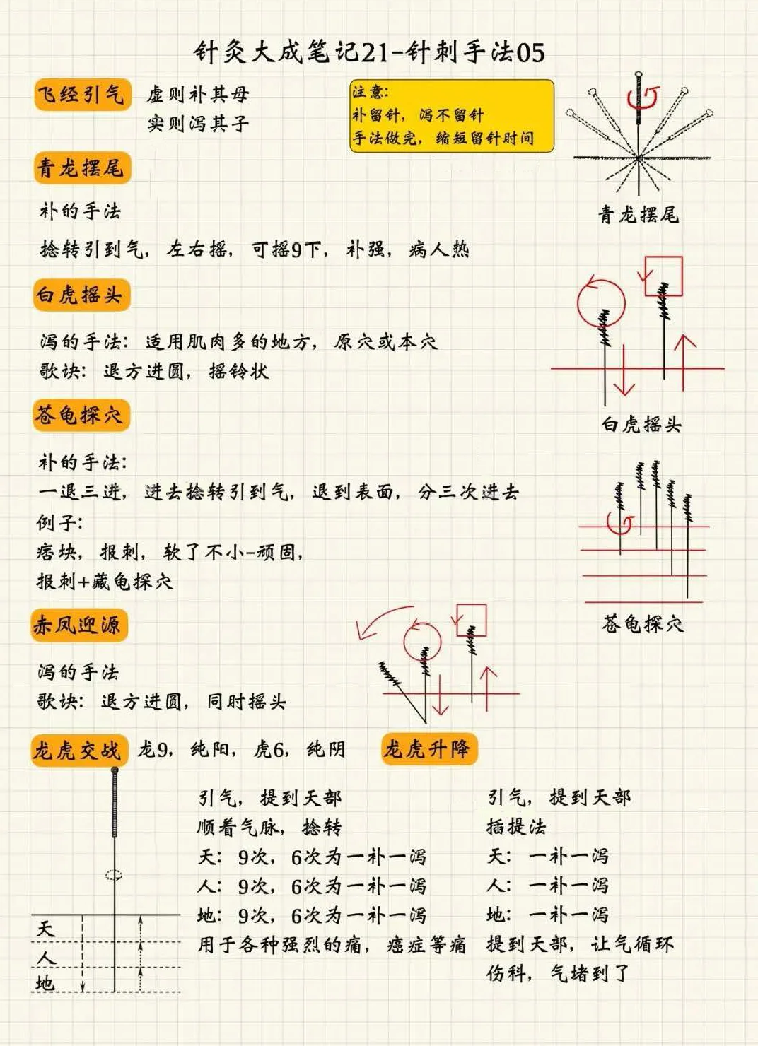 针刺手法5