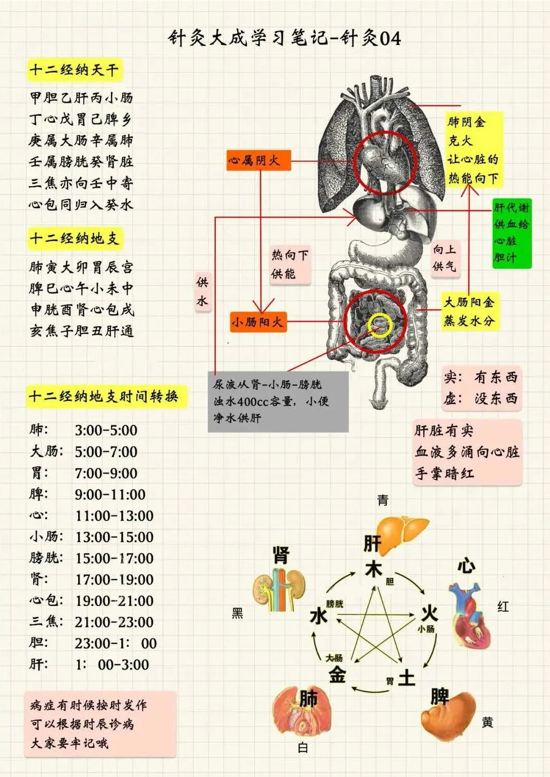 十二经纳天干地支歌