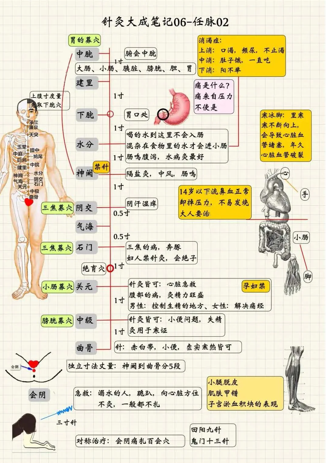 任脉经穴系统总结2