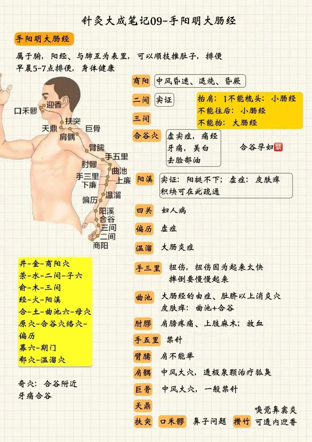 /images/zhenjiu/9.webp